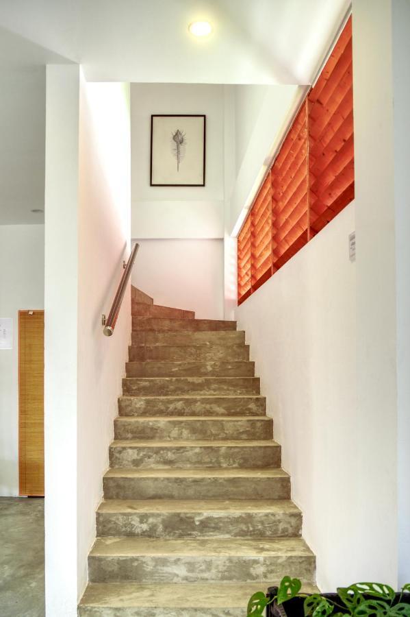 Island Ambience Hotel Maafushi Bagian luar foto